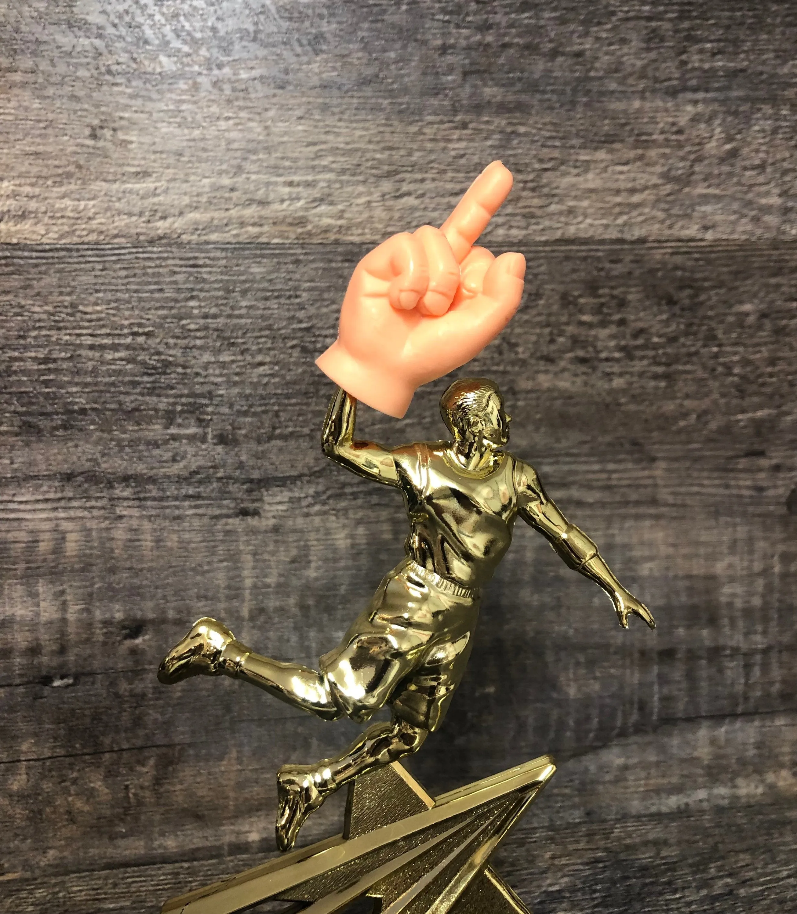 Funny Trophy Middle Finger Gag Gift Adult Humor Friend Birthday Gift Funny Flipping The Bird F*ck You Trophy One Finger Two Words Award